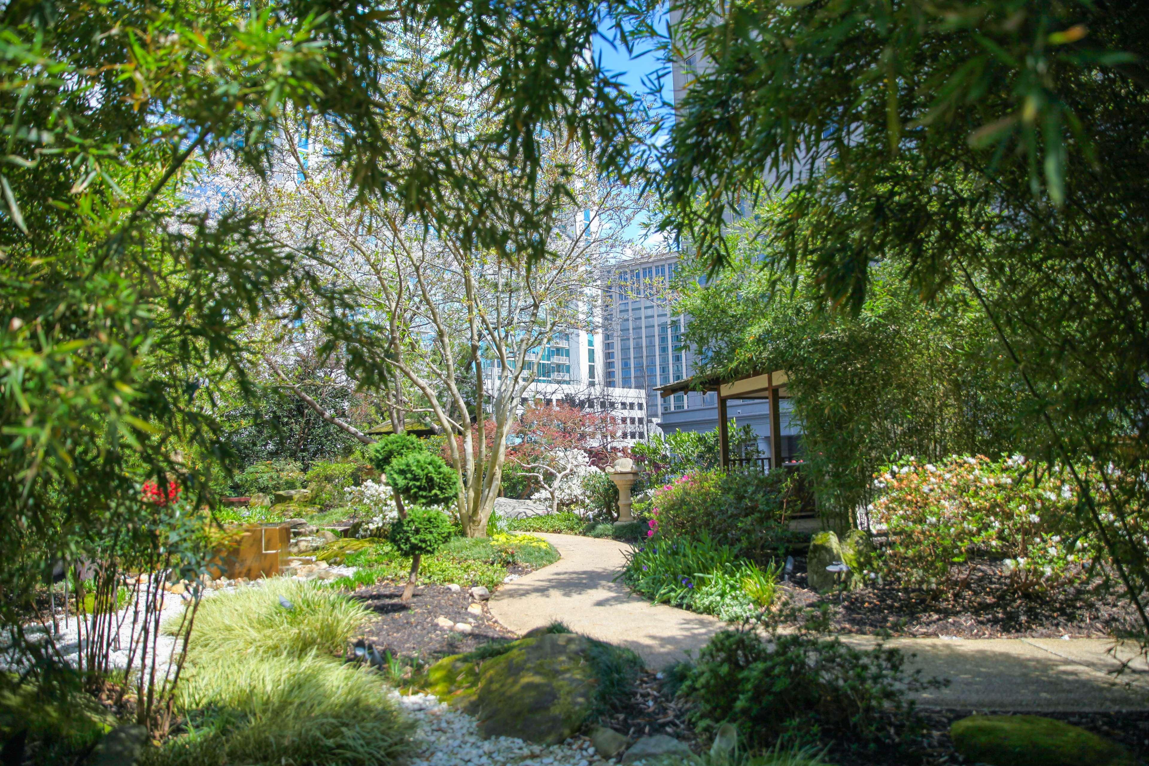 Grand Hyatt Atlanta In Buckhead Hotel Екстериор снимка