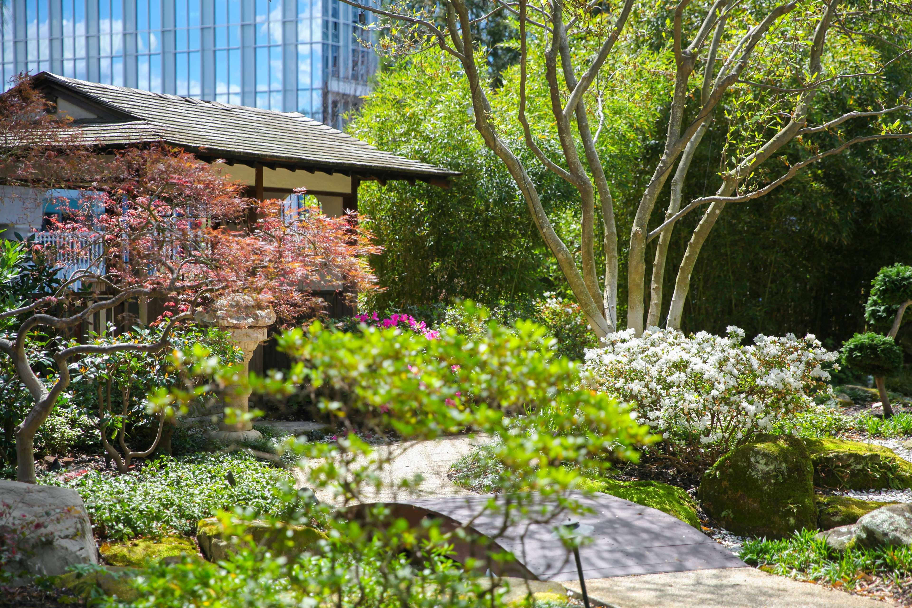 Grand Hyatt Atlanta In Buckhead Hotel Екстериор снимка